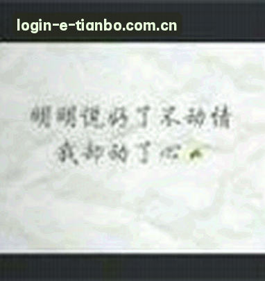 User